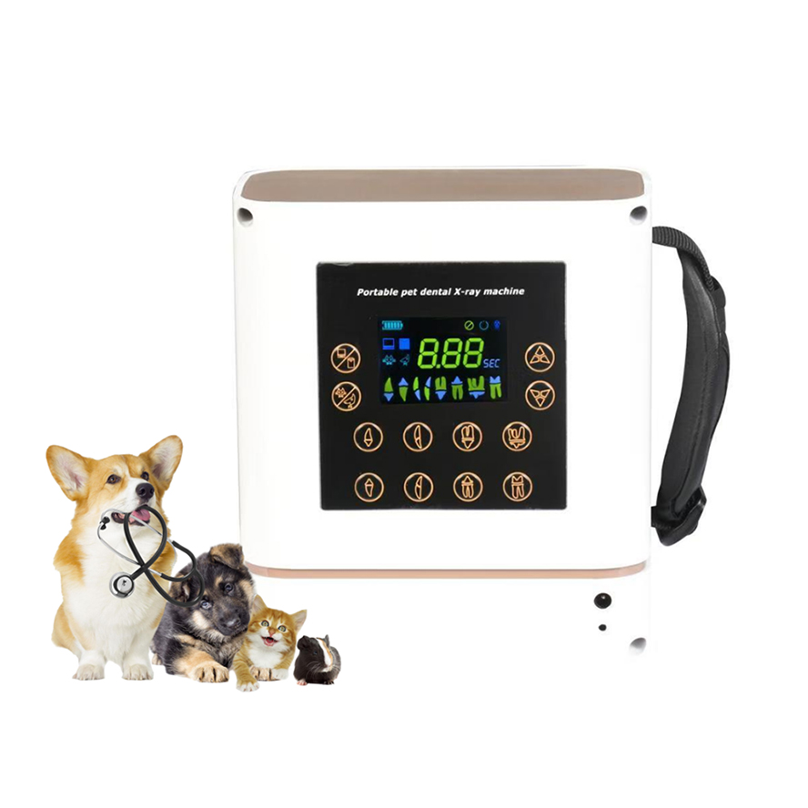 Tragbares Dentales Röntgengerä – Veterinary X-Ray Bewertung und Preis