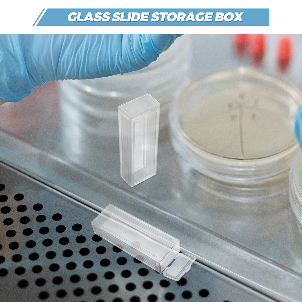 6 Stück Kunststoff für Mikrosk – Pathology Slide Storage Bewertung und Preis