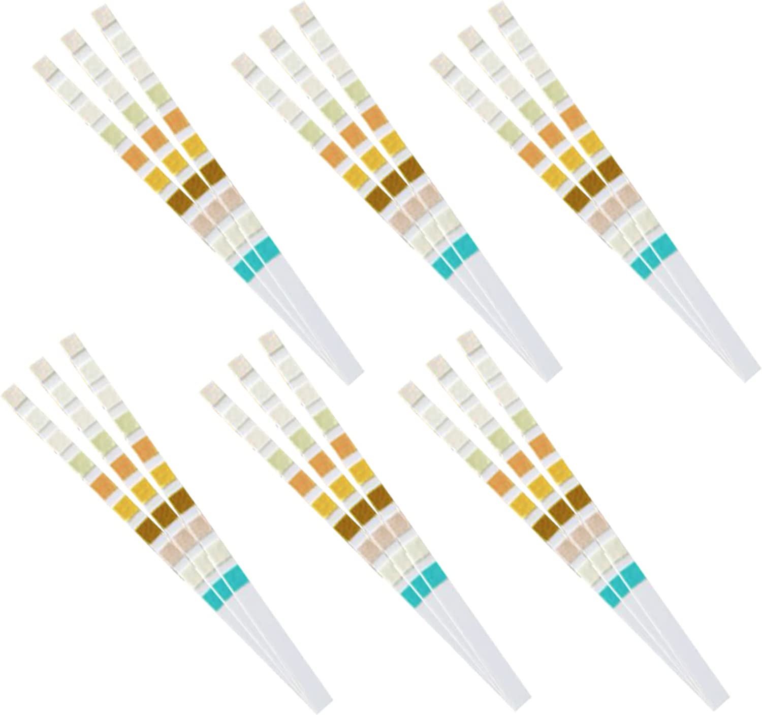 URS-10T Urin teststreifen 10 P – Urinalysis Reagent Strip Bewertung und Preis