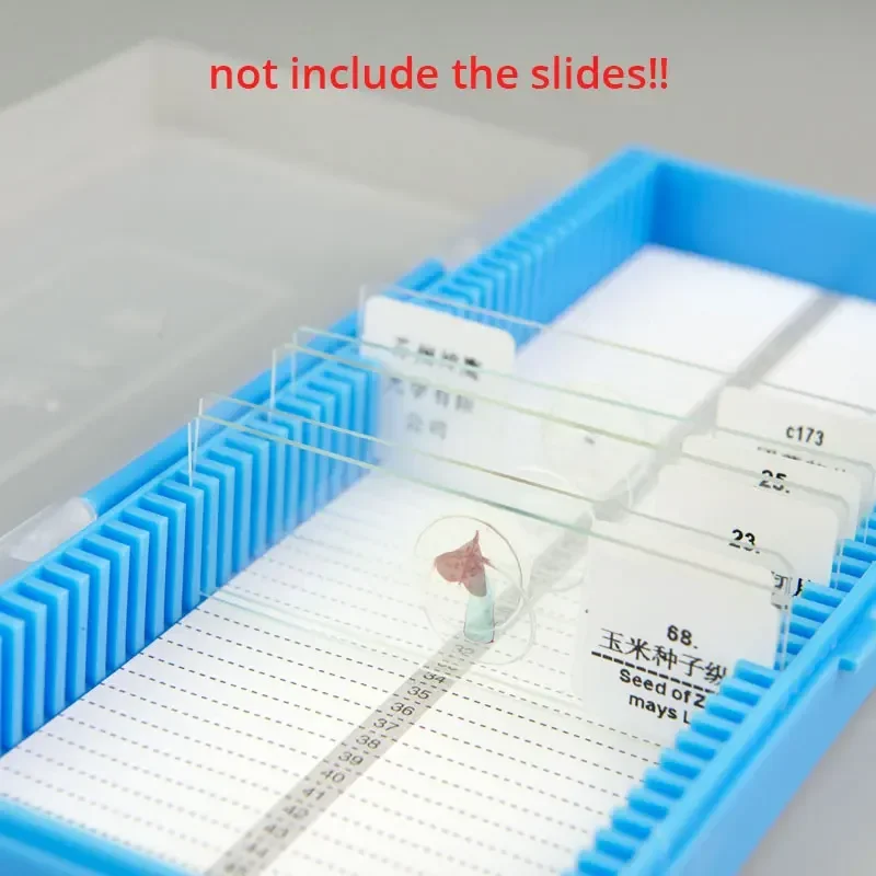 Kunststoff-Mikroskop-Objektträ – Pathology Slide Storage Bewertung und Preis