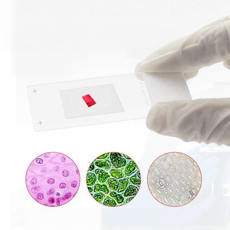 Citotest 50 Stück Klebeobjektt – Pathology Slide Storage Bewertung und Preis